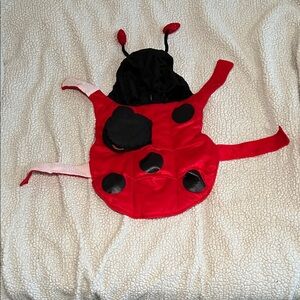 Medium pet Costume - Lady bug